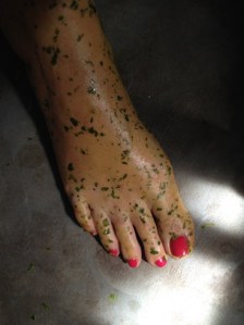 Neempuun lehdistä, kuoresta ja kanelista tehty silppu rauhoitti ihon.